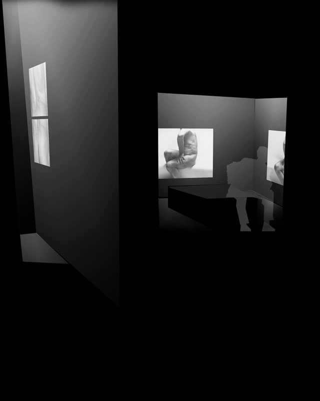 Expografie / John Coplans